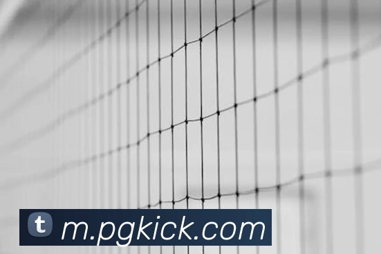 pg电子APP 封面图